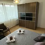 Viva 포메르