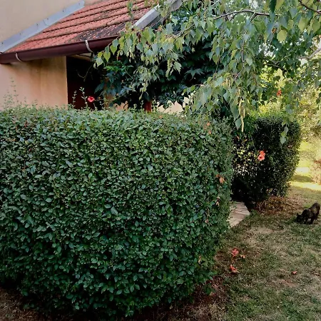 Appartement Viva