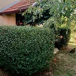 Apartament Viva