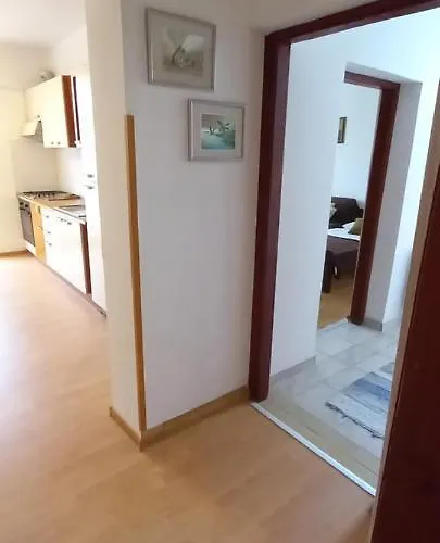 Viva * Pomer